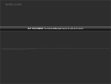 Tablet Screenshot of briks.com